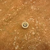 Moen 6302 Moenflo XL Single Function 4.38-Inch Diameter Showerhead