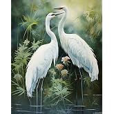 DIY Paint by Numbers for Adults Beautiful White Crane DIY Painting by Number Kits Oil Paint Drawing Canvas Home Decor Gift, 40x50cm Without Frame