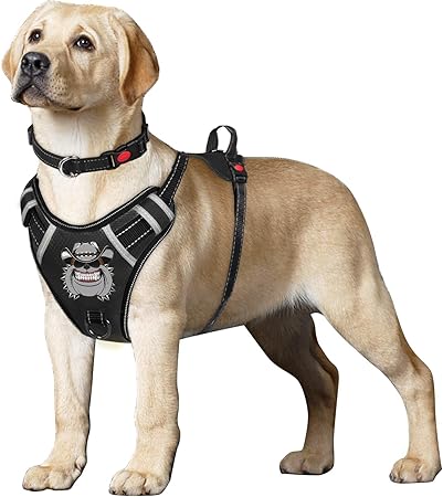 medium size dog harness
