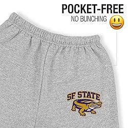 LOGOVISION San Francisco State University Primary