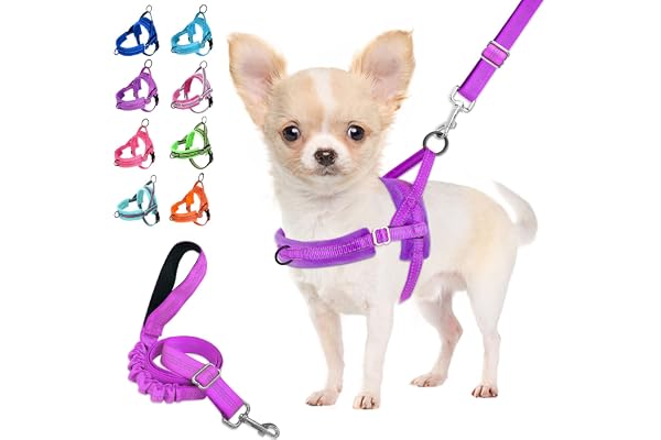 Lukovee Dog Leashes for Small Dogs, Lightweight Soft Small Dog Harness Neck & Chest Adjustable, Reflective Harness Anti-Twis