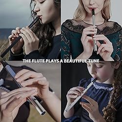 VixxNoxx Irish Tin Whistle in C Key with Music Book