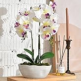 YSZL Large Artificial Potted Orchid Plant, Silk Flower Arrangement with Ceramics Vase, White
