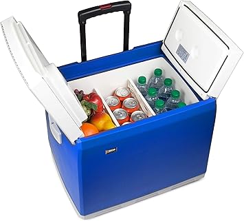 hard backpack cooler