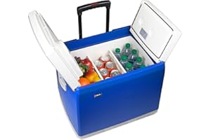 Wagan EL6244 46-Quart 12V Thermoelectric Cooler/Warmer, 44 Liter Capacity, Portable Electric Car Cooler Warmer with 12/24V DC, 12V Small Fridge for Car, RV, and Camping Use, UL Listed