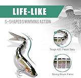 Truscend Swimmax Segmented Jointed Swimbait with Dyneema Fiber Joint view 4