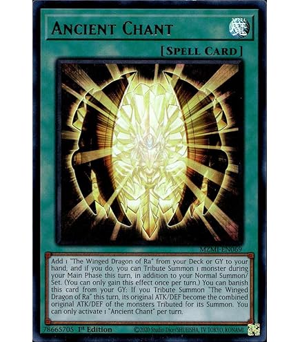 Amazon.com: Complete Custom Deck for Yu-Gi-Oh!