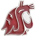 Desert Cactus Washington State University Lapel Pins WSU Cougars Cougs Logo Enamel Made of Metal (Pin A)