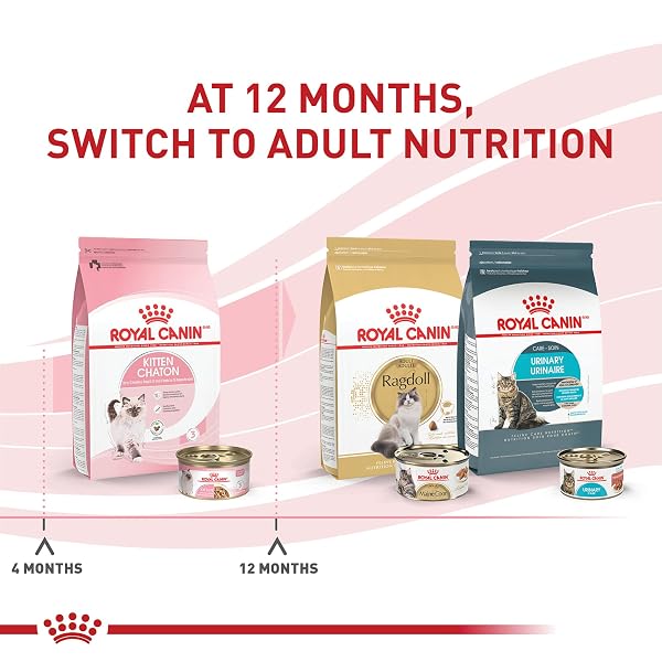 ROYAL CANIN FELINE HEALTH NUTRITION KITTEN THIN SLICES IN GRAVY CAT FOOD, 3 OZ (PACK OF 24)
