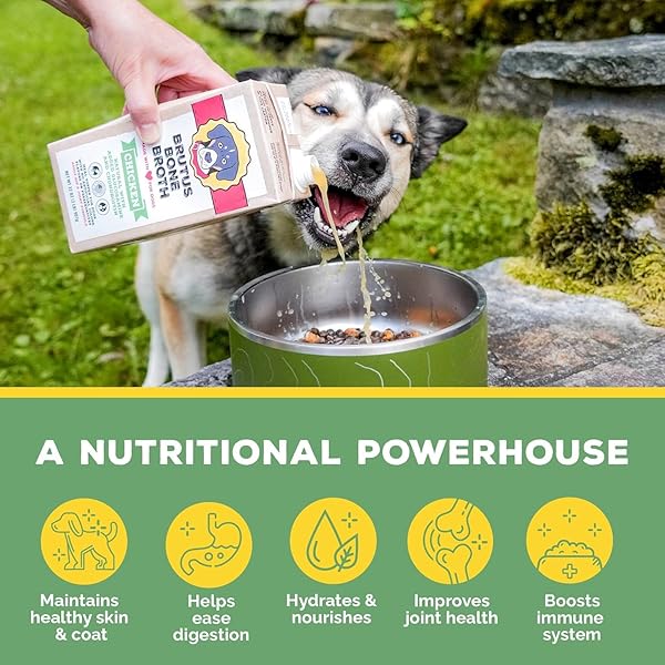 BRUTUS BONE BROTH LIQUID FOR DOGS | ALL NATURAL | MADE IN USA | GLUCOSAMINE & CHONDROITIN FOR HEALTHY JOINTS | HUMAN GRADE INGREDIENTS | HYDRATING DOG FOOD TOPPER, GRAVY & TREAT (PORK)