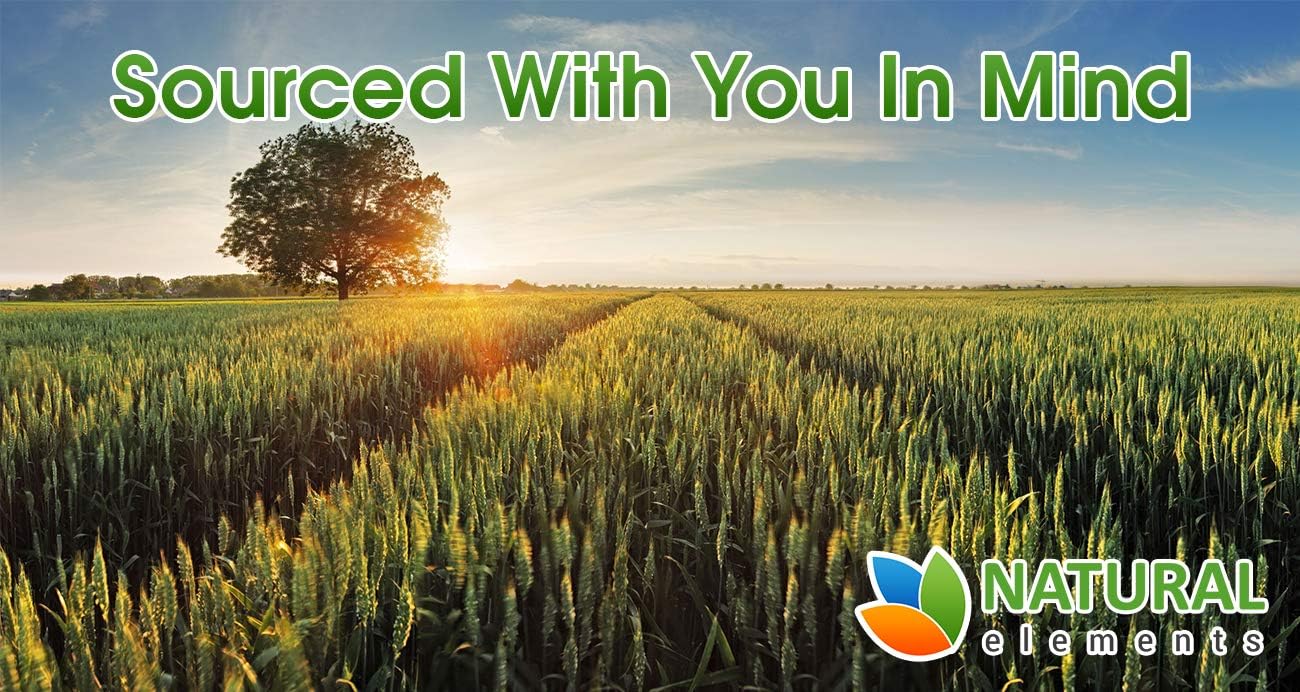 Wheatgrass Powder - USDA Certified Organic Wheat Grass Powder That Is Rich In Essential Amino Acids, Chlorophyll, Antioxidants, Fatty Acids, Minerals & Vitamins - US Grown - Vegan & Non-GMO Superfoods: Health & Personal Care
