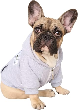 pug clothes amazon