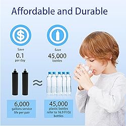 Renami 1 Micron Water Filter Replacement for