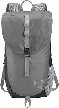 lewis backpack