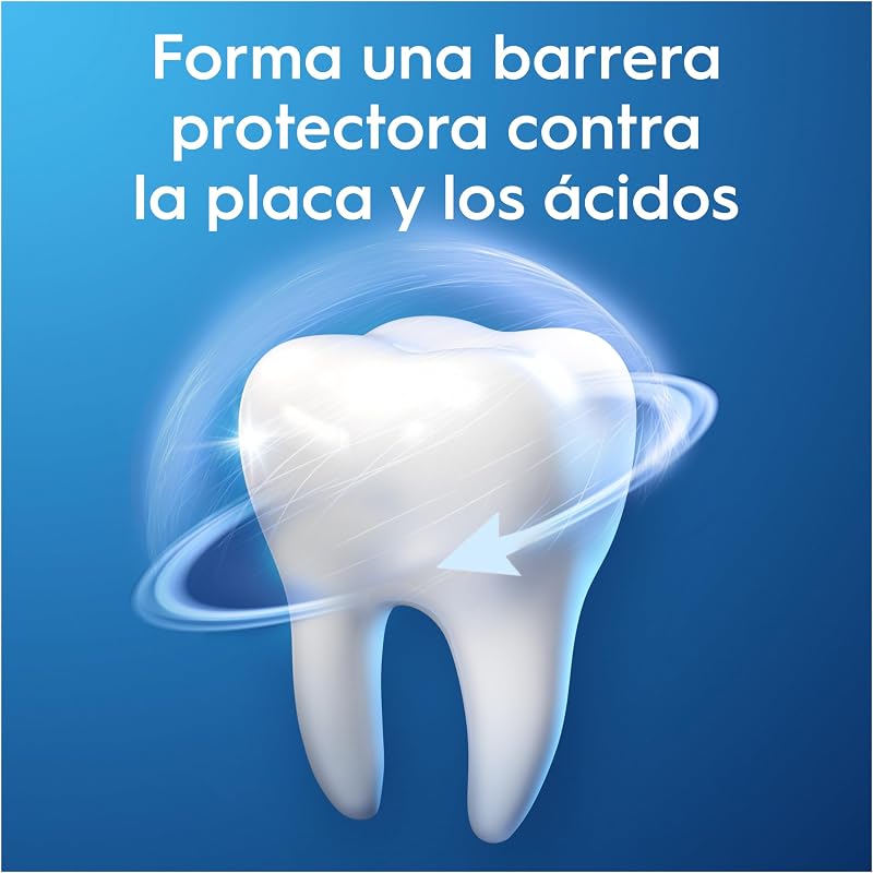 Pro-Expert Protección Profesional Pasta de Dientes, Pack 12x75 ml