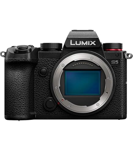 Amazon.com: Panasonic LUMIX S5II Mirrorless Camera with LUMIX S