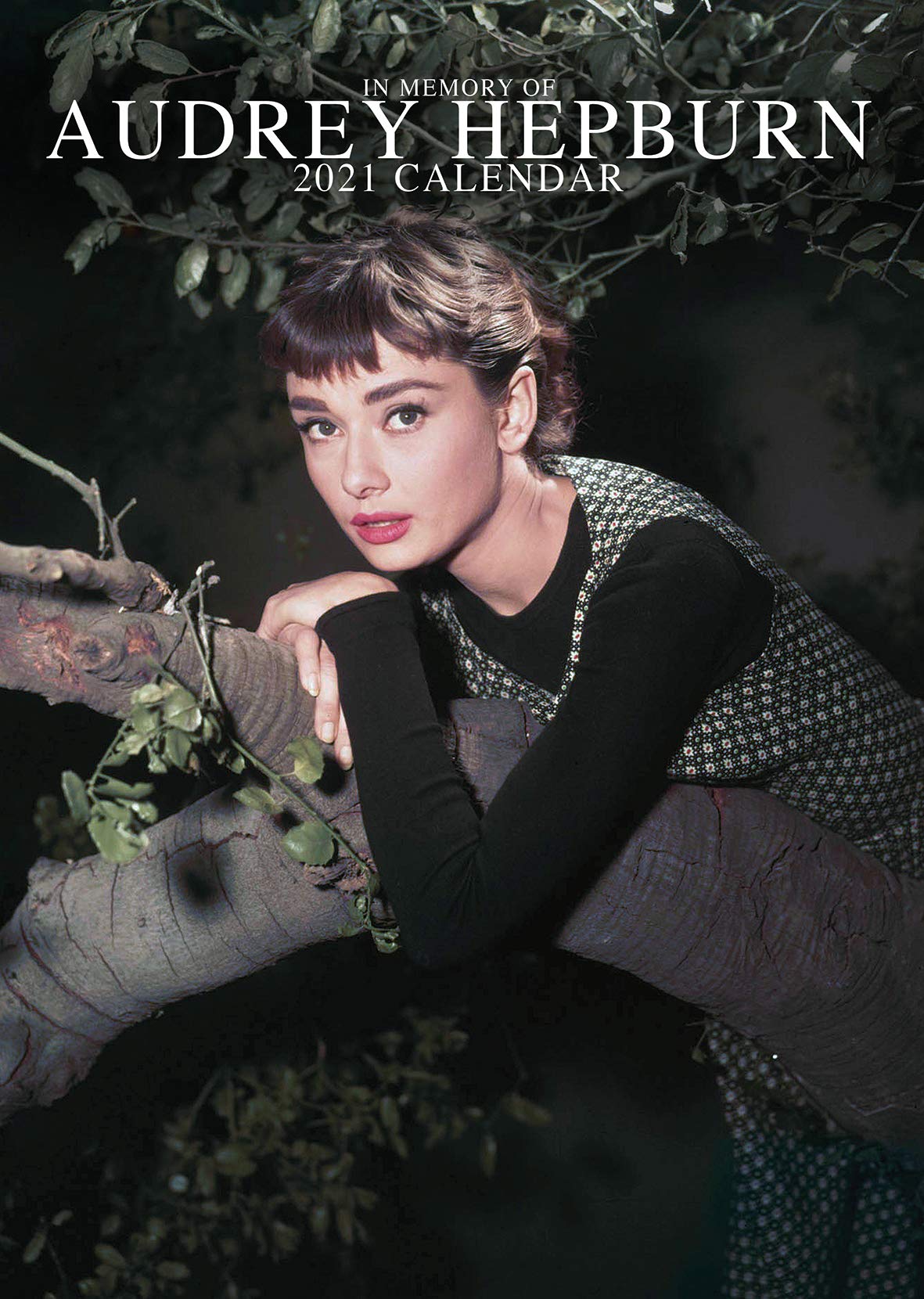Audrey Hepburn 2021 Calendar A3