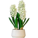 365 Blooming Decor 16 inch Tall White Potted Faux Hyacinth Flower Plant with River Stone-Luxury Artificial Garden Hyacinth for Home, Office Decoration, Housewarming