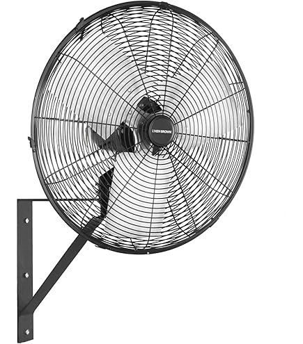 Adrinfly 24 In. 3-Speed Oscillating High Velocity Black Indoor Wall Mount Fan 6500 CFM Heavy Duty Air Circulator SNPH030IN114 - The Home Depot