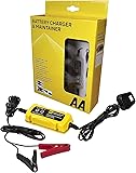 AA Battery Charger & Maintainer, For 6V & 12V Lead Acid and Gel Batteries - Black/Yellow