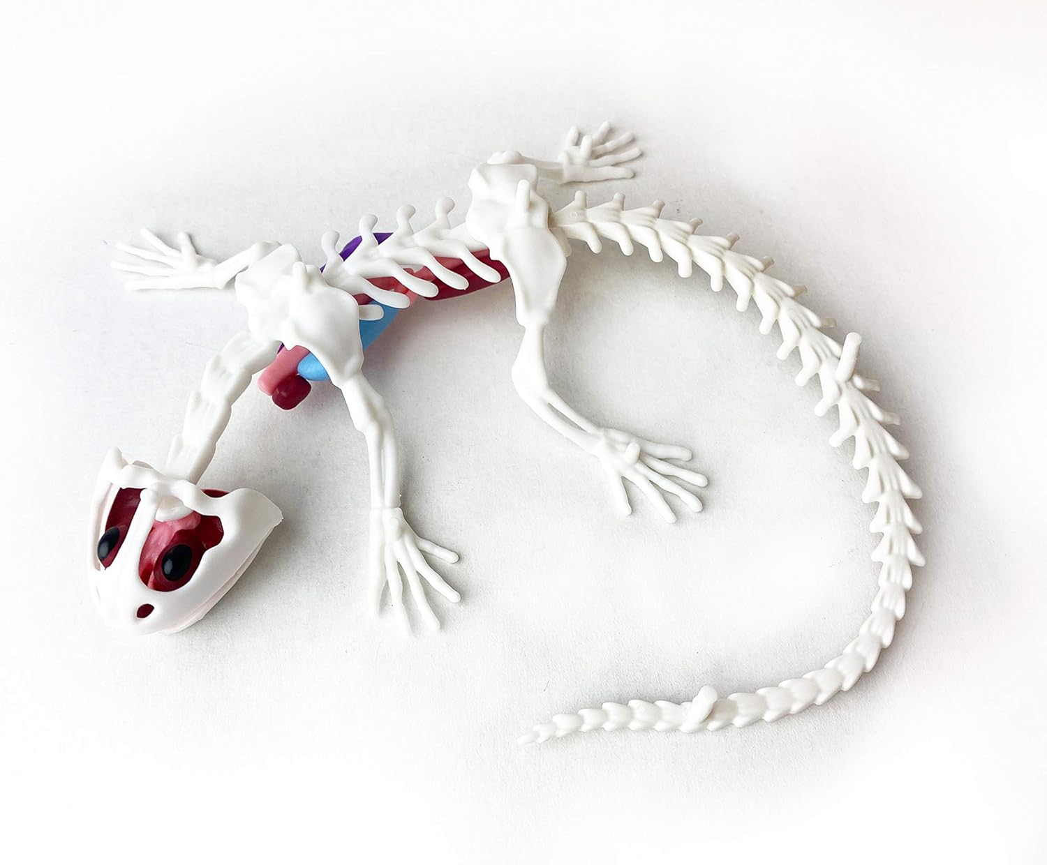 Top Secret Toys Dissect-It Simulated Synthetic Lab Dissection STEM Toy | Kids Home Learning Science Project, Great for Young Scientists! - Salamander: Toys & Games