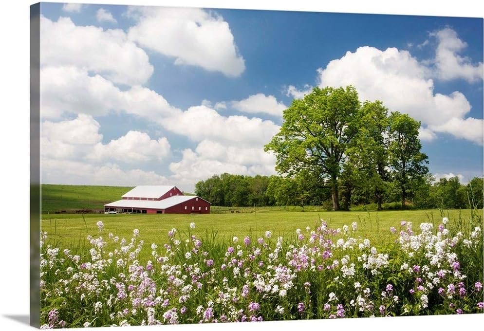 Flowers and Farm, Holmes County, Ohio Canvas Wall Art Print, 18"x12"x1.25"