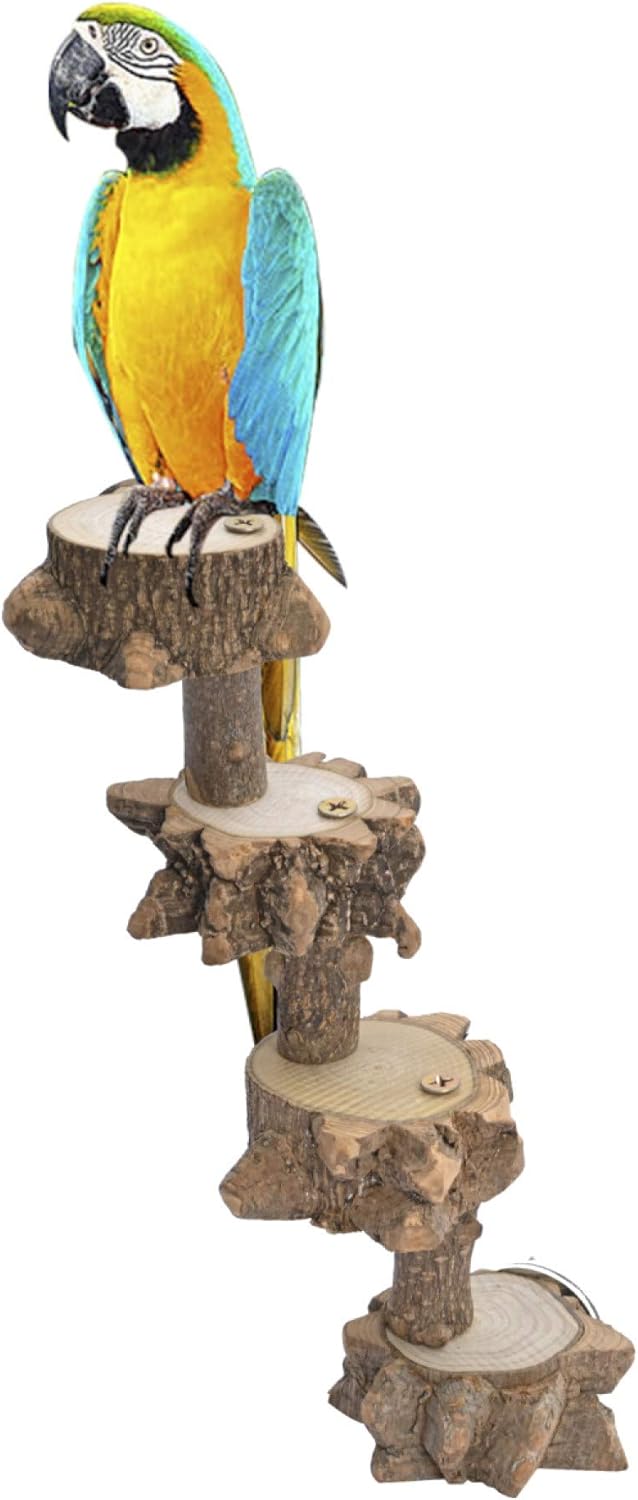 Luonfels Bird Platform Perch Playground for Budgie Parakeet, Cage Natural Wood Play Stand Parrot Flat Perches for Large Birds, Birdcage Ladder Climbing Toy 4 Step : Pet Supplies