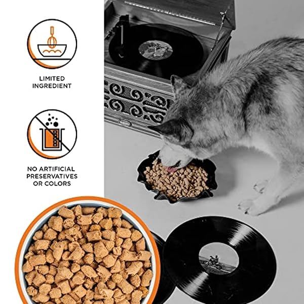 BIXBI LIBERTY FREEZE-DRIED DOG FOOD TOPPER & TREATS, CHICKEN – 98% MEAT & ORGANS, NO REFRIGERATION – USA MADE, 4.5 OZ