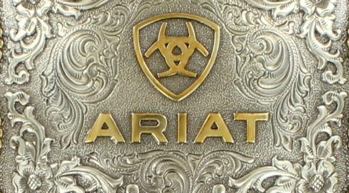 Ariat Men's Rectangle Round Edge Belt Buckle, Silver, Gold, OS: Clothing