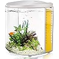 YCTECH Small Fish Tank 1.2 Gallon Betta Fish Tank with Filter and Light for Shrimp, Jellyfish, Goldfish, Aquarium Starter Kit for Home, Office, Room, Decorative Desktop