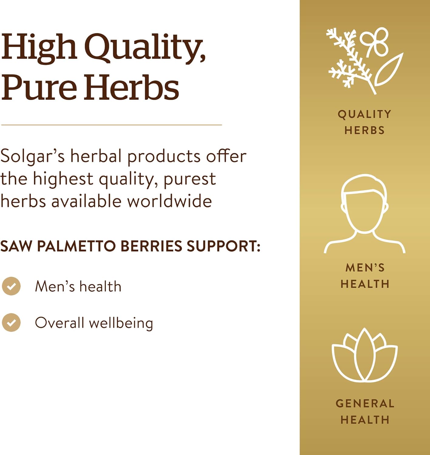 Solgar – Full Potency Saw Palmetto Berries, 100 Vegetable Capsules: Health & Personal Care