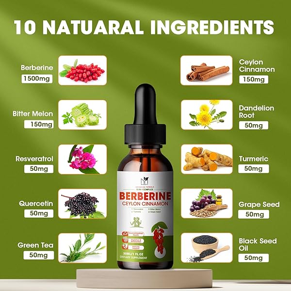 BERBERINE SUPPLEMENT LIQUID DROPS, BERBERINE 1500MG WITH CEYLON CINNAMON, TURMERIC, RESVERATROL, BITTER MELON, VEGAN SUPPLEMENT, SUPPORTS IMMUNE SYSTEM & DIGESTIVE SYSTEM – 2 FL OZ