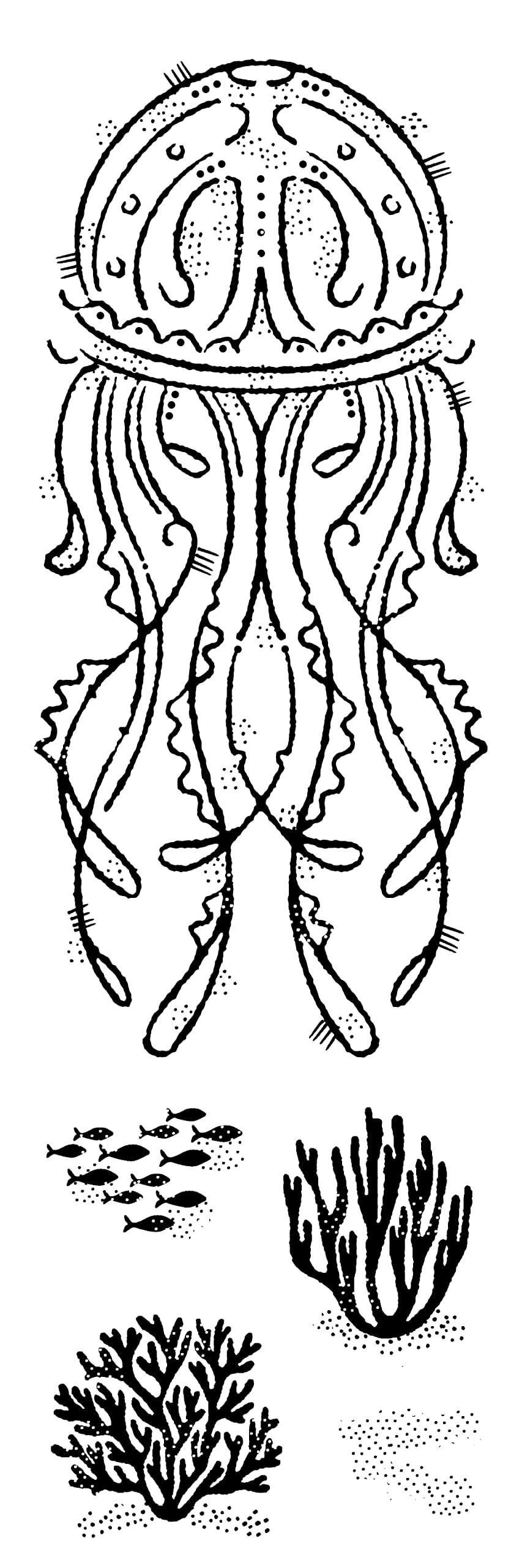 Francoise Collection - Jelly Fish - Clear Stamp Set