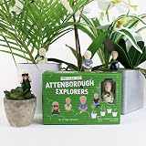 Gift Republic Attenborough Explorers Plant Markers Green 9.5x14.5x3.5 cm view 3