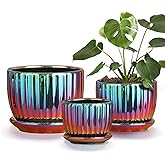 Ton Sin Flower Pots, Purple Ceramic Plant Pots Set of 3,Small Glazed Succulent Pots with Drainage Hole,Cactus Planter with Sa