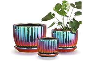 Ton Sin Flower Pots, Purple Ceramic Plant Pots Set of 3,Small Glazed Succulent Pots with Drainage Hole,Cactus Planter with Saucer,Outdoor Garden Pots (Colorful Gold)