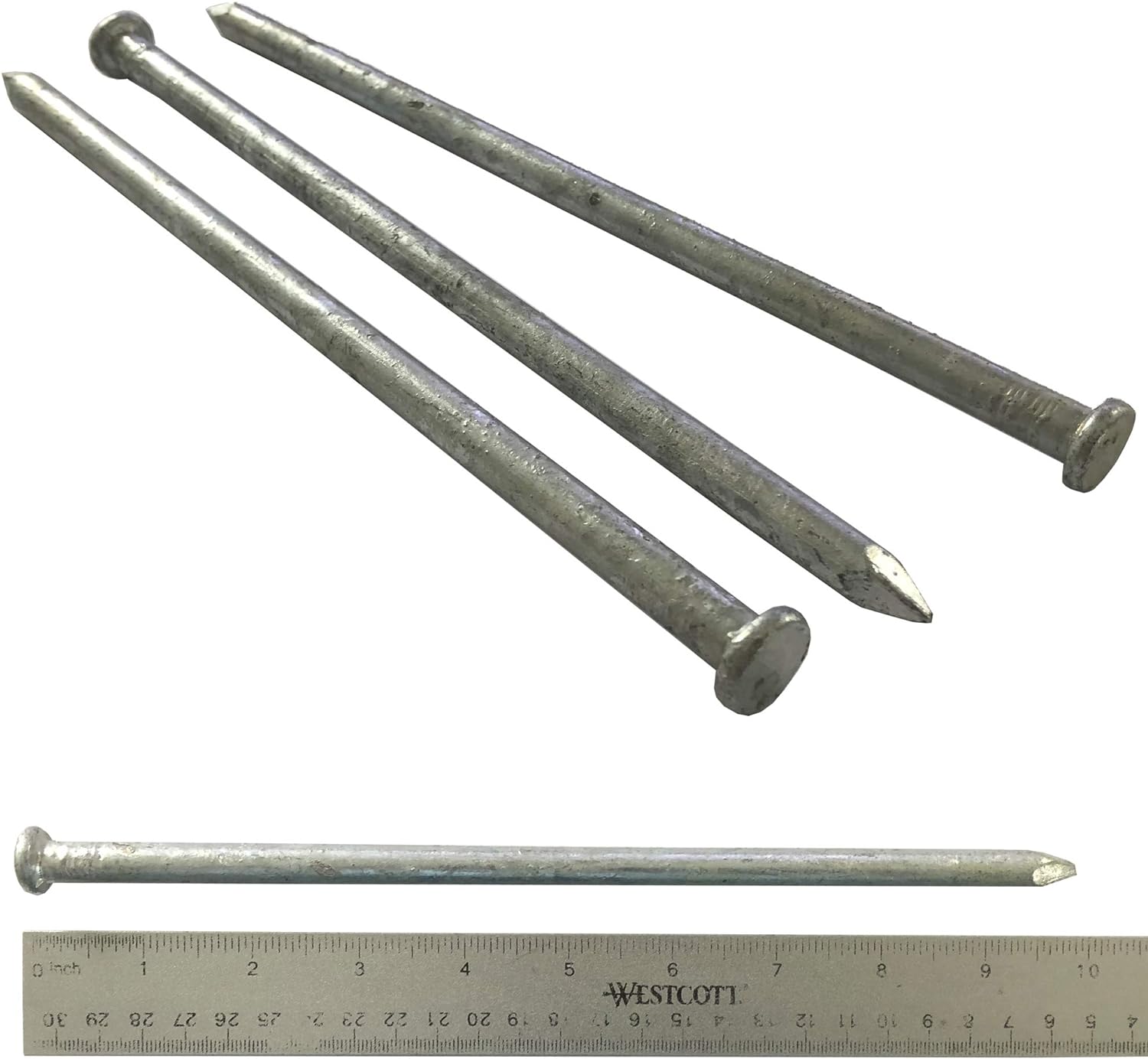 (10) 100d Galvanized Spike nail (10) Pack Home Improvement