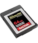 Amazon.com: SanDisk 128GB Extreme PRO CFexpress Card Type B