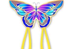 Xida Kite Butterfly Kite for Kids Easy to Fly, Butterfly Kites for Adults,Beginner Kite for Kids Ages 4-8,Large Kite with 300ft Handle,Perfect for Beach Trip