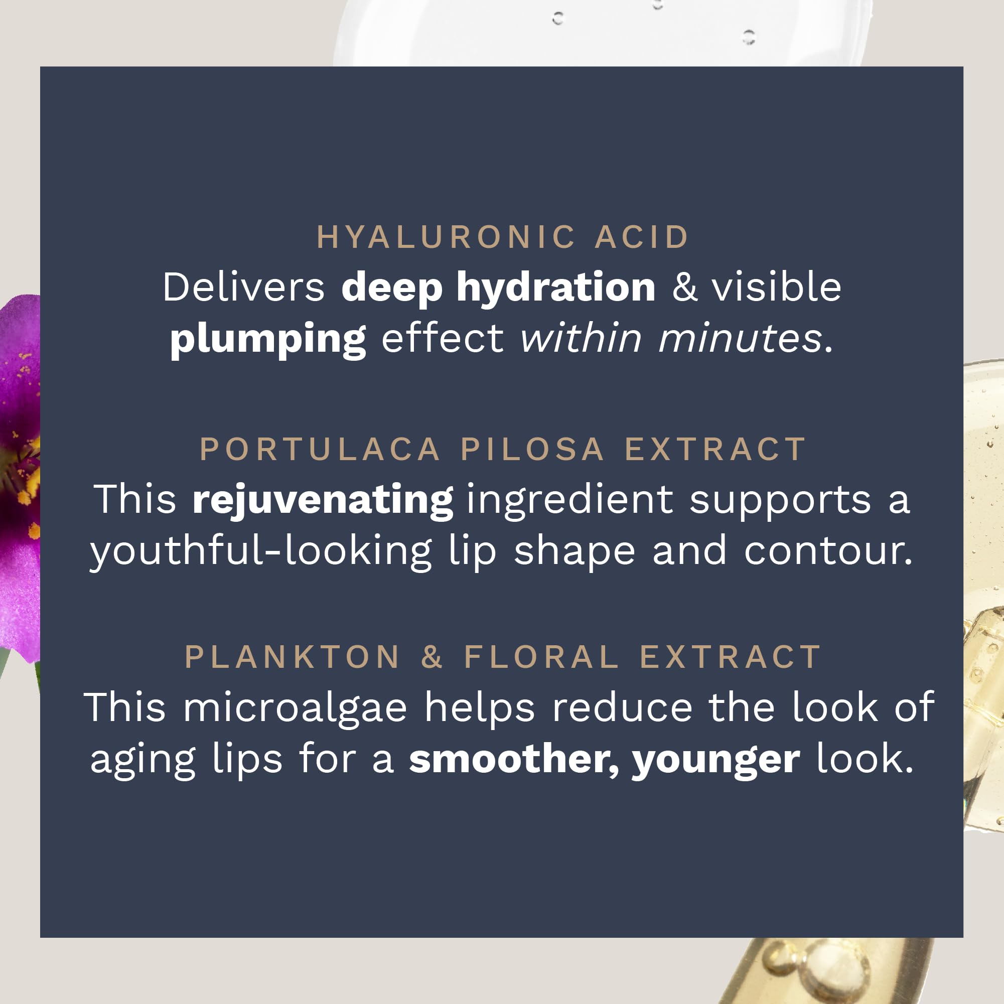 City Beauty City Lips Night Oil - Plump, Hydrate, and Restore Overnight - Anti-Aging Lip Treatment - Conditioning Lip Oil with Hyaluronic Acid & Plant Extracts