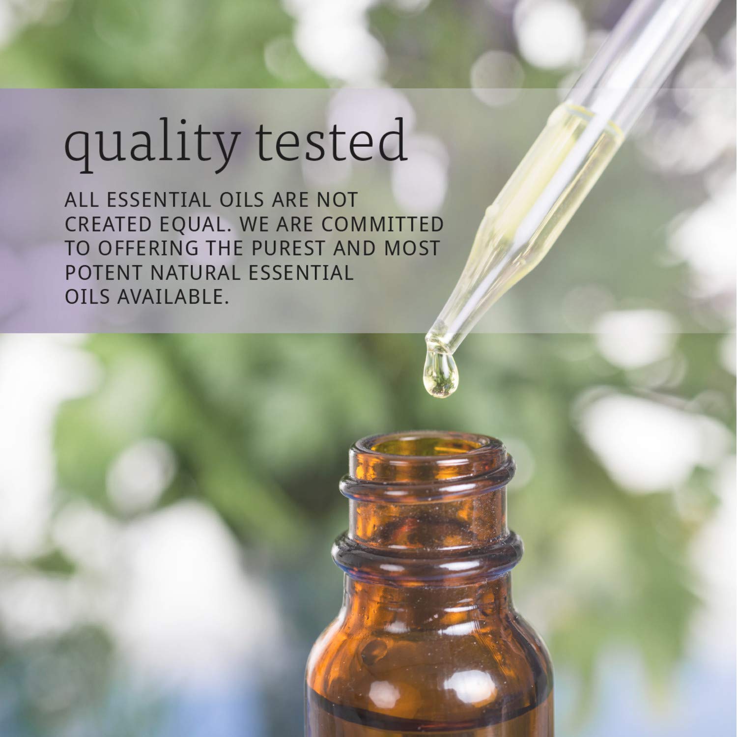 NOW Essential Oils, Clove Oil, Balancing Aromatherapy Scent, Steam Distilled, 100% Pure, Vegan, Child Resistant Cap, 1-Ounce