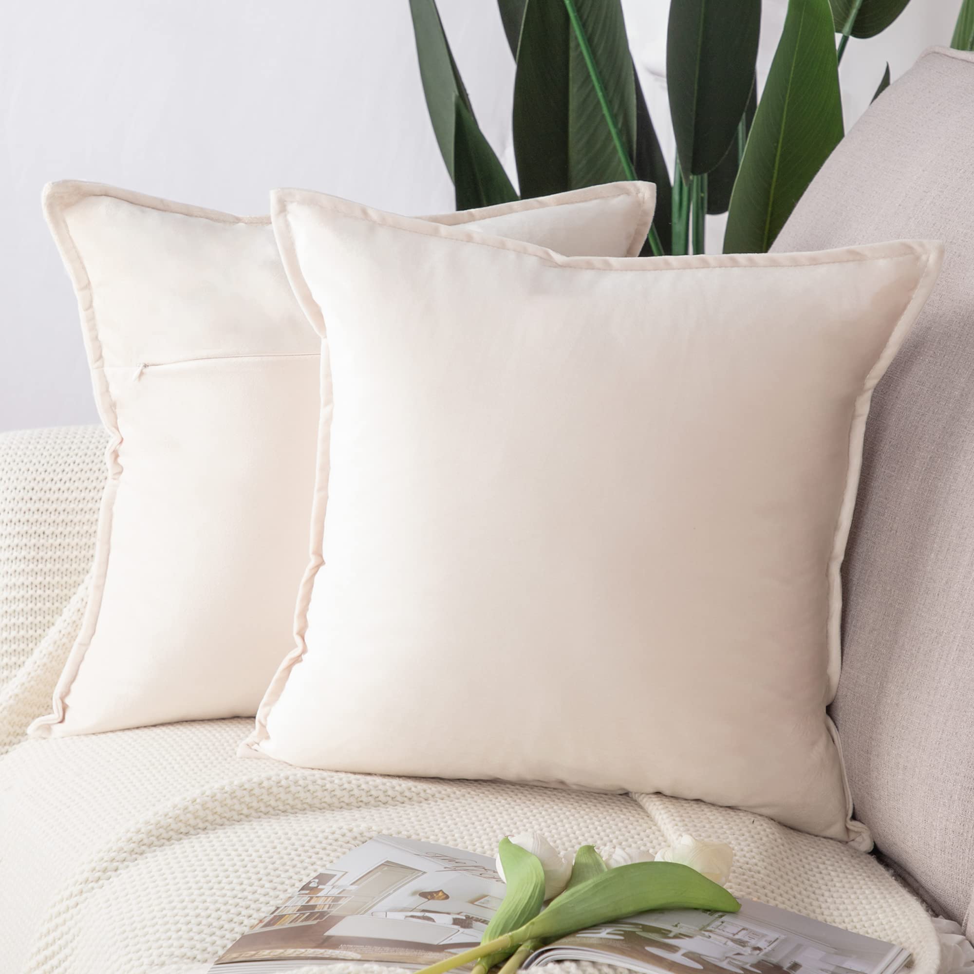 Madizz Pack of 2 Super Soft Velvet Decorative Cushion Covers with Fringe Luxury Style Cushion Case European Pillow Shell for Sofa Bedroom Square Beige 26x26 inch, 65x65 cm