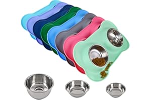 Juqiboom Dog Bowls 2 Stainless Steel Bowl for Pet Water and Food Feeder with Non Spill Skid Resistant Silicone Mat for Pets Puppy Small Medium Cats Dogs