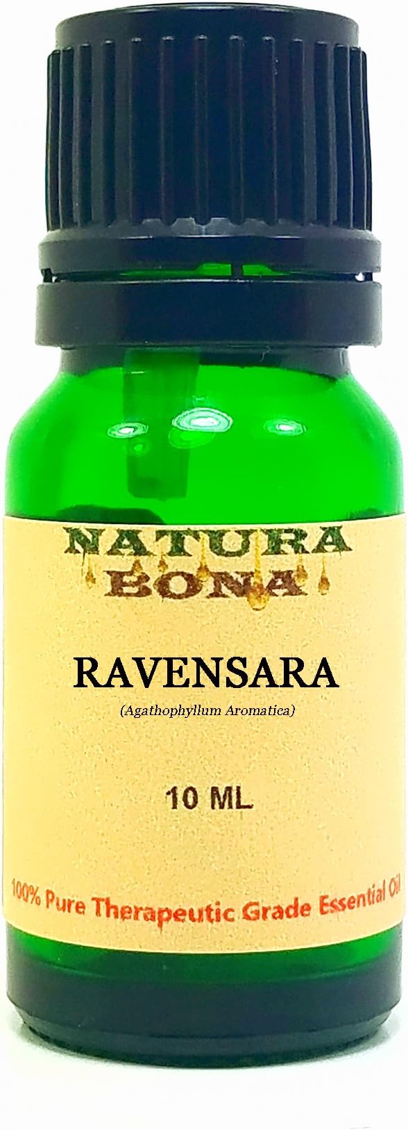 Ravensara Essential Oil - 100% Pure Organic Therapeutic Grade Ravensara Aromatica Oil in a 10ml Green Glass Euro Dropper Bottle. (RAVENSARA)