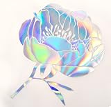VINYL FROG HTV Metallic Holographic Silver Vinyl Roll 30.5x155cm view 7