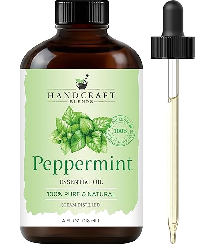 Amazon.com: Handcraft Blends Energy & Zest Set: Peppermint and