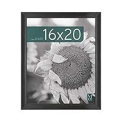 MCS Studio Gallery Classic 16x20 Poster Frame Black
