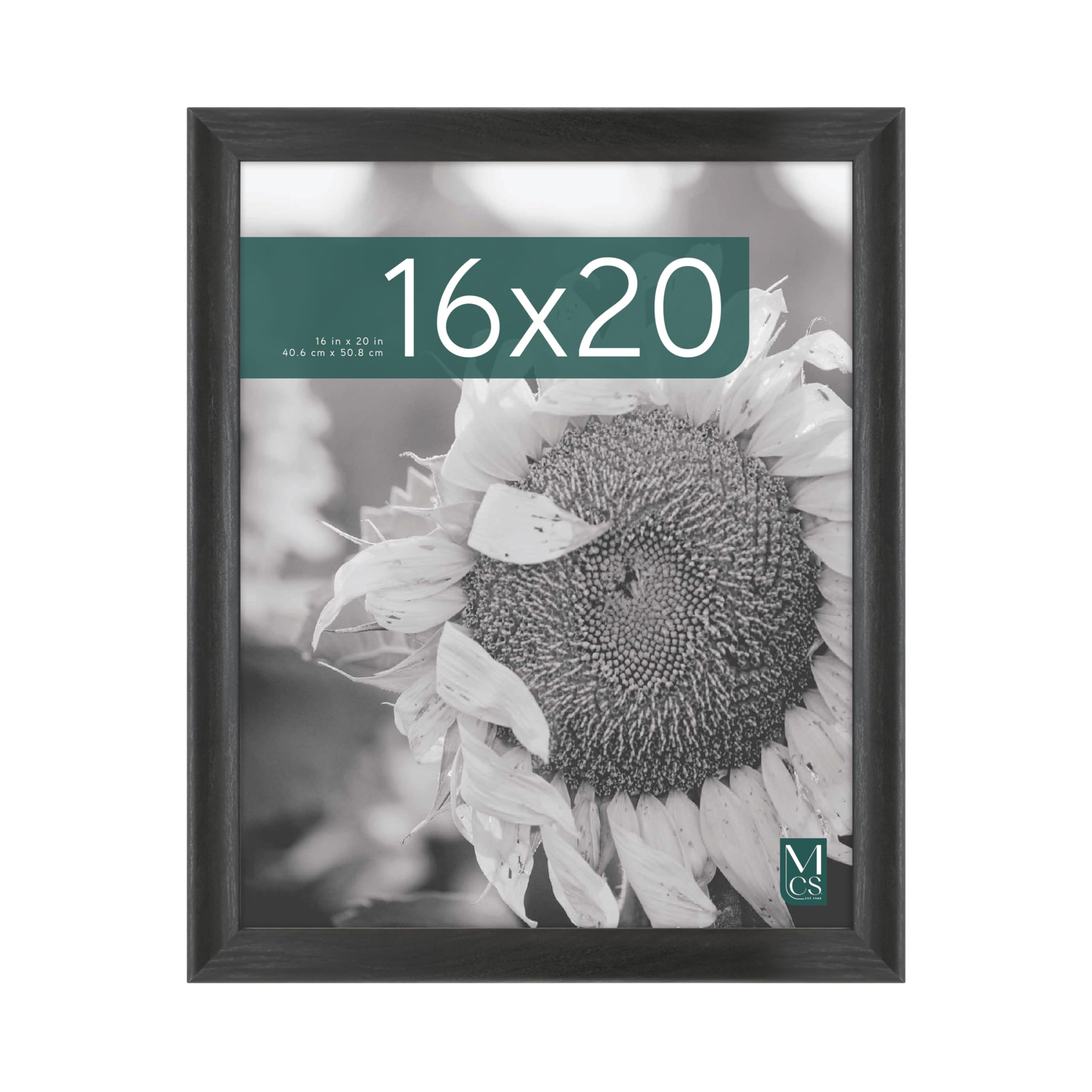 MCS Studio Gallery Classic 16x20 Poster Frame Black