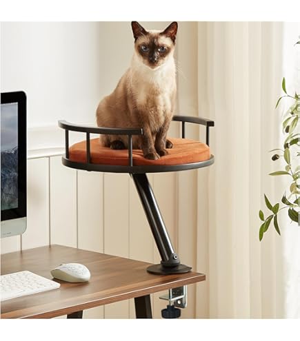 Chaise Bureau, Support Lombaire Réglable En Hauteur, Fauteuil Bureau