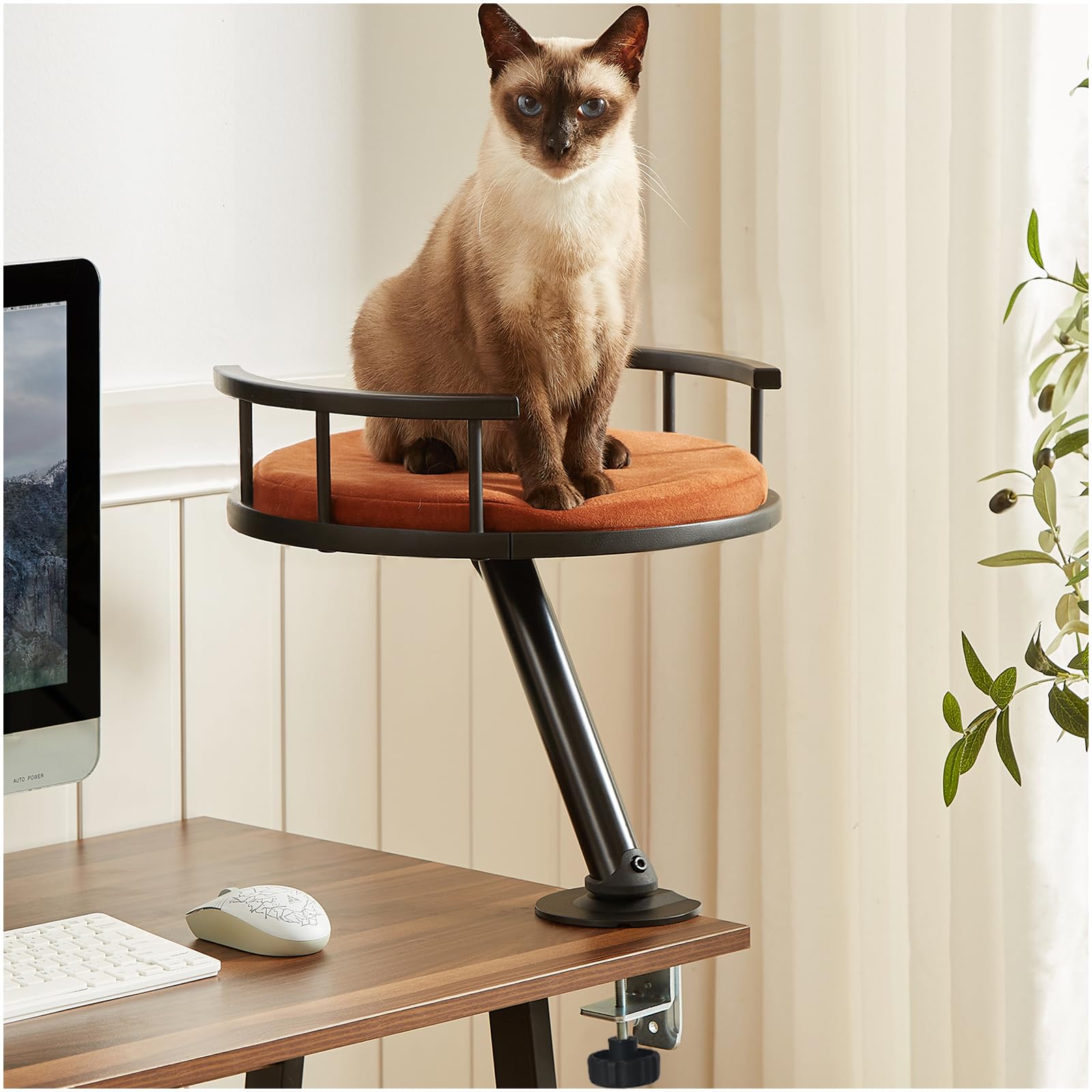 Photo 1 of JuoPool Cat Desk Bed - Desktop Attachment Cat Perch for Home Office, Spinnable Indoor Mounted Desk Bed, Elevated Nest for Work, Kitten Furniture Accessories(Black)